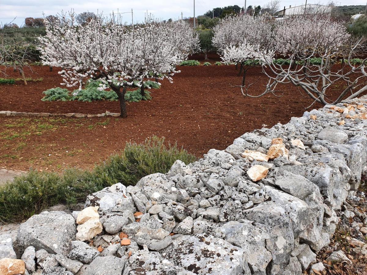 Frühstückspension Mamapulia